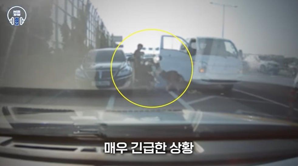 본문 이미지 - (서울경찰 유튜브 갈무리)