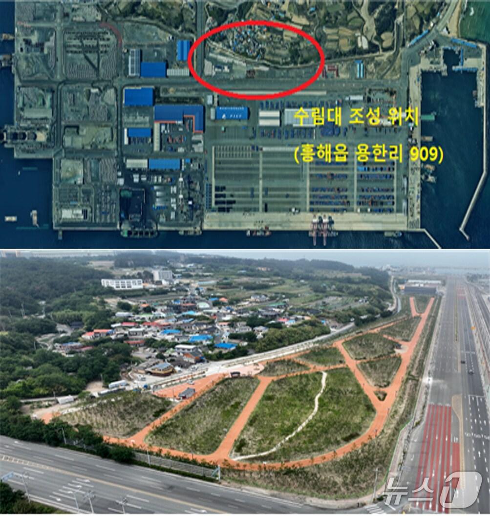 본문 이미지 - 포항해양수산청이 포항 영일만항을 운행하는 화물차 등에서 발생하는 비산 분진을 줄이기 위해 조성한 수림대 모습.(포항해양수산청 제공, 재판매 및 DB금지) 2025.6.25/뉴스1