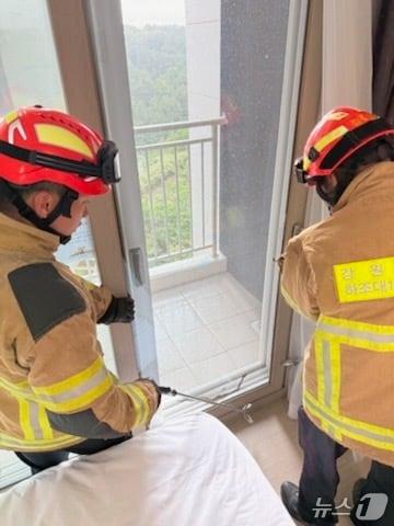 본문 이미지 - 양양의 한 호텔에서 발견된 볼파이톤.(강원도소방본부 제공, 재판매 및 DB금지)