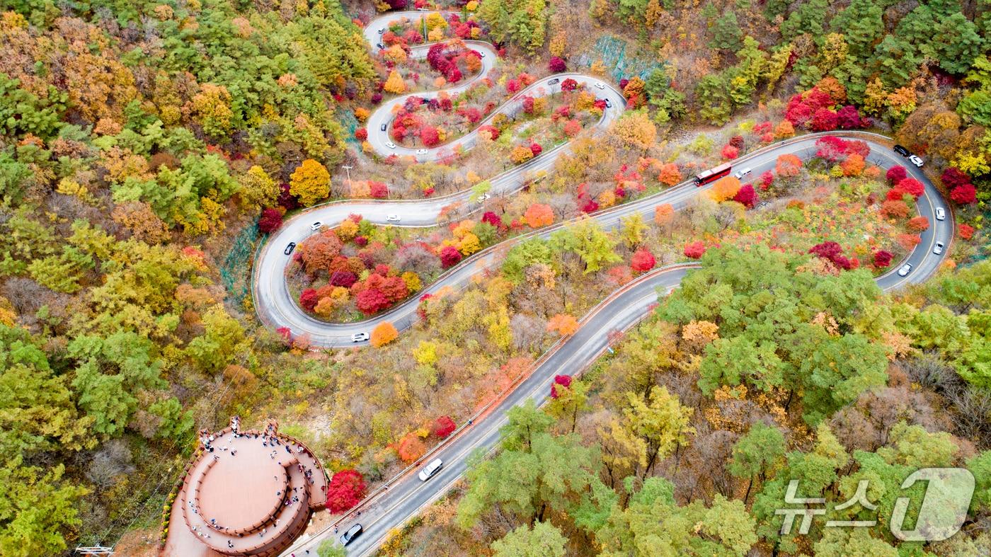 충북 단양 보발재 단풍.&#40;단양군 제공. 재판매 및 DB금지&#41;/뉴스1