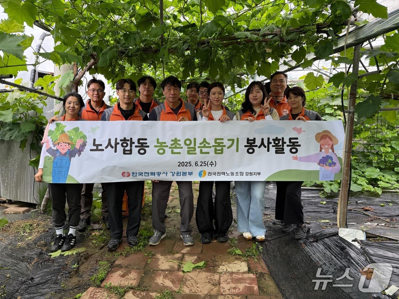 본문 이미지 - 농촌 일손 돕기 봉사활동.(한국전력 강원본부 제공. 재판매 및 DB금지)/뉴스1