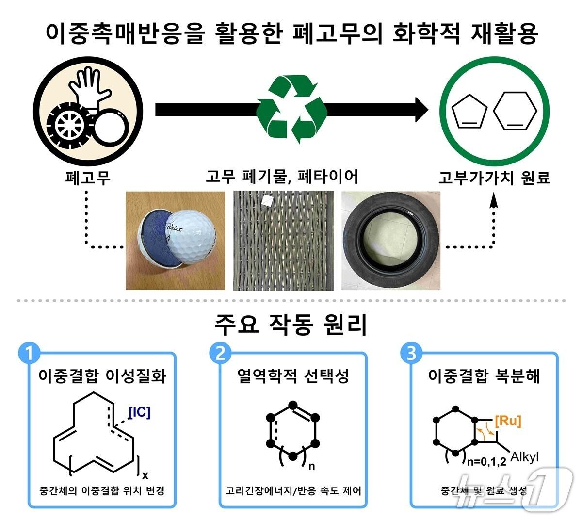 본문 이미지 - 이중촉매반응을 활용한 폐고무의 화학적 재활용(KAIST 제공) /뉴스1 