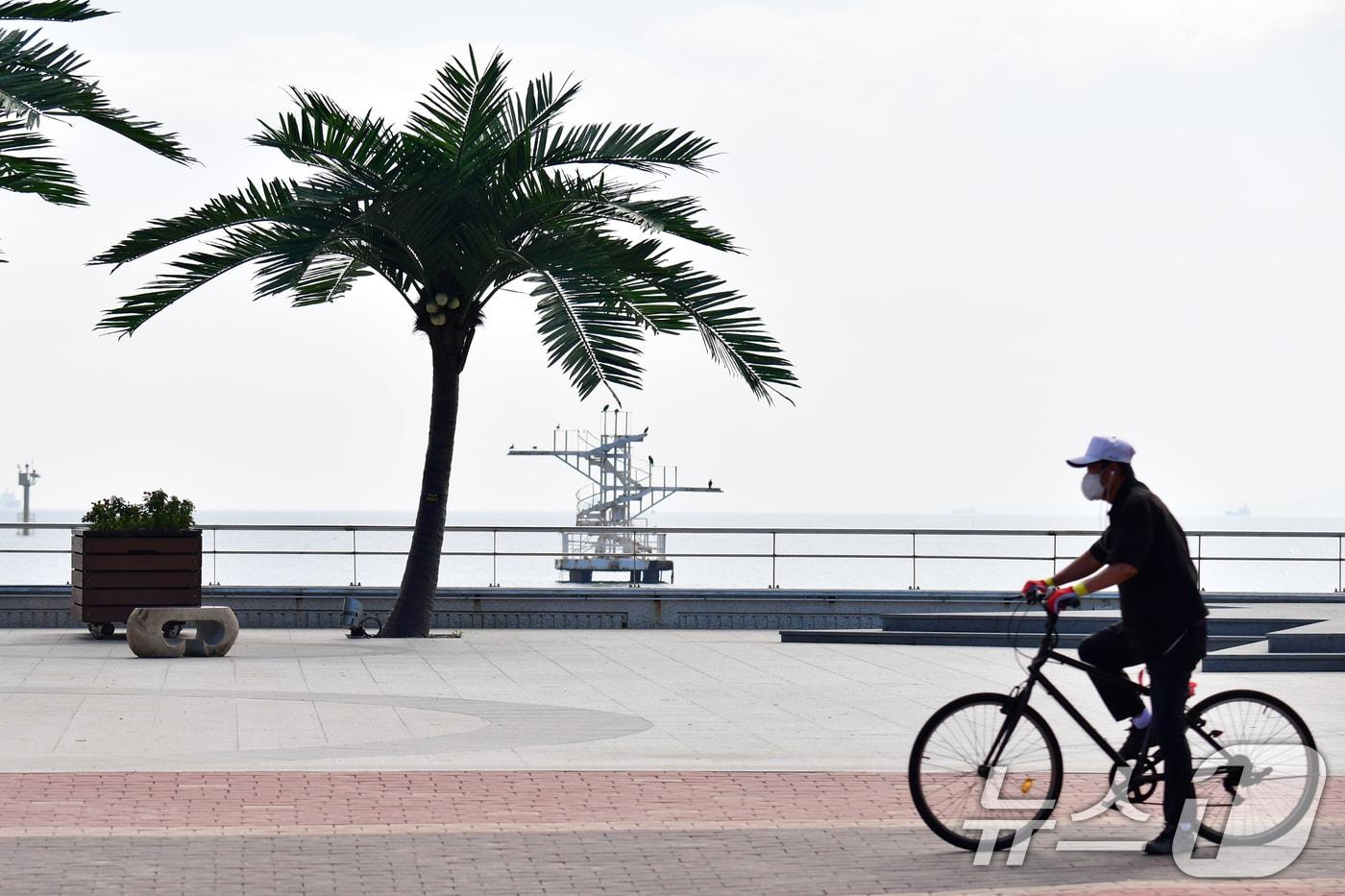 26일 경북 포항시 송도해수욕장 앞 바다 셜치된 다이빙대 위애 가마우지들이 앉아 쉬고 있다. 2025.6.26/뉴스1 ⓒ News1 최창호 기자