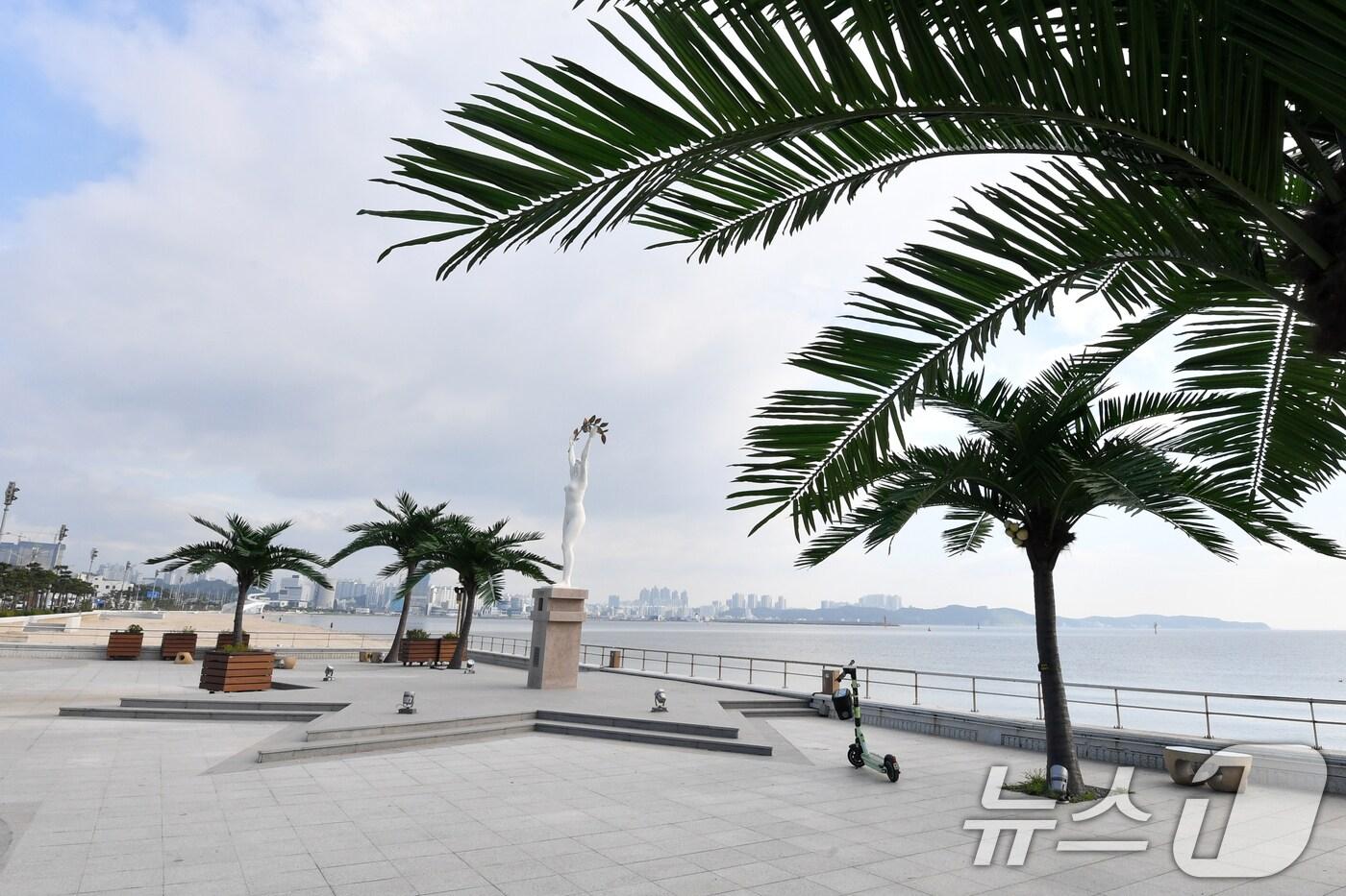 포항 송도해수욕장 평화의 여신상 광장에 인공 야자수 나무가 늘어서 있다. 송도해수욕장은 2007년 태풍으로 백사장 유실이 되면서 폐장됐다 오는 7월12일 재개장한다. 2025.6.26/뉴스1 ⓒ News1 최창호 기자