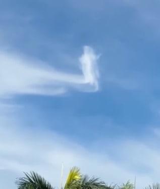 본문 이미지 - <출처=인스타그램 갈무리>