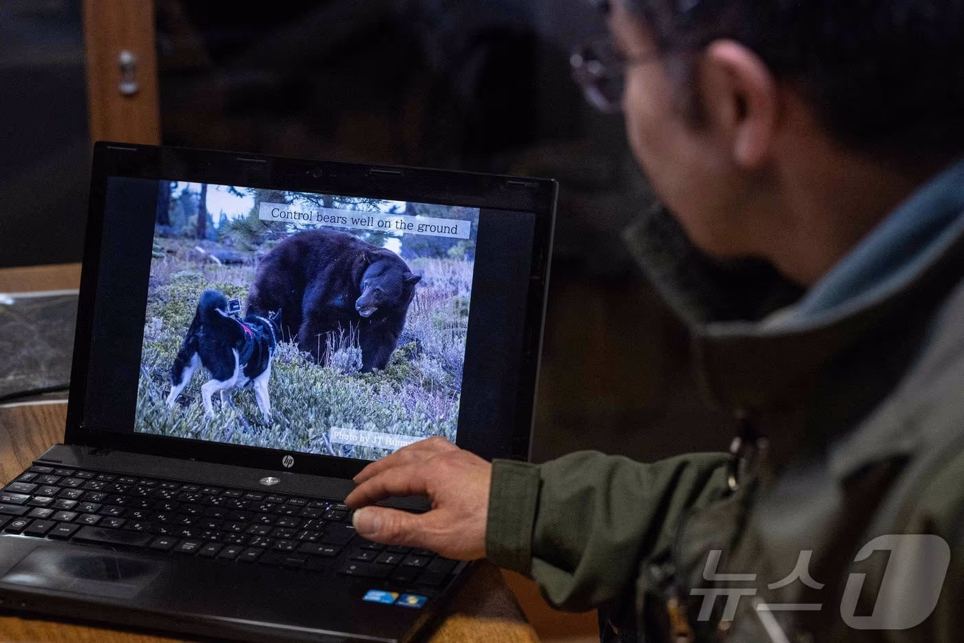 야생동물 전문가가 2023년 11월 10일 나가노현 가루이자와 인근 사무실에서 곰 구조 작업에 관한 영상을 보여주고 있다. 2023.11.10 ⓒ AFP=뉴스1 ⓒ News1 강민경 기자