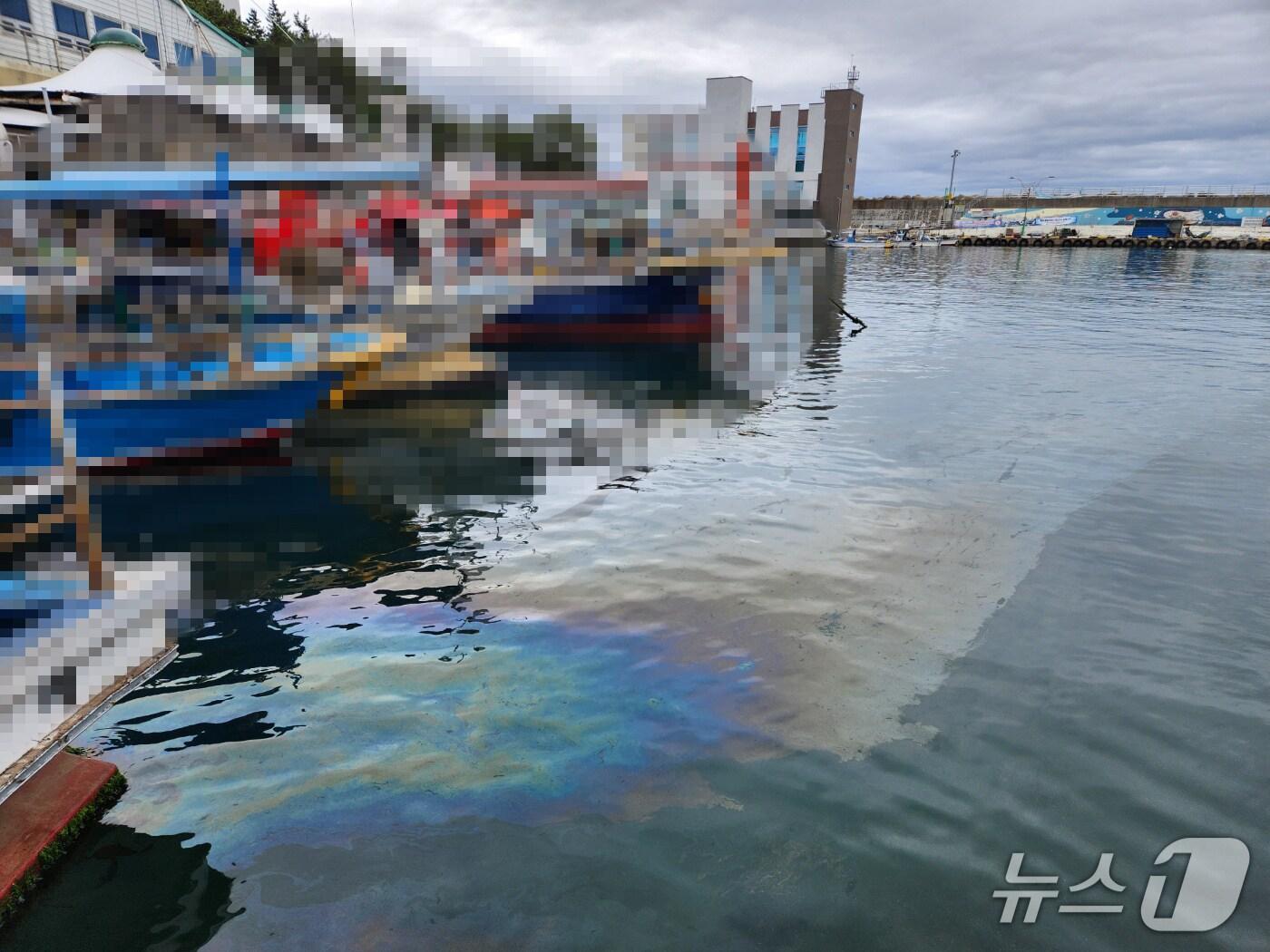 본문 이미지 - 무단배출한 오염물질로 생긴 유막.(속초해경 제공, 재판매 및 DB 금지) 2025.6.26/뉴스1