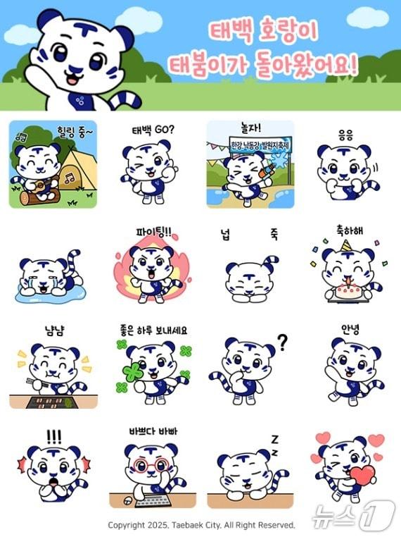 본문 이미지 - 강원 태백시 공식 캐릭터 '태붐이'의 카카오톡 이모티콘 자료 사진. (태백시 제공. 재판매 및 DB금지) 2025.6.27/뉴스1