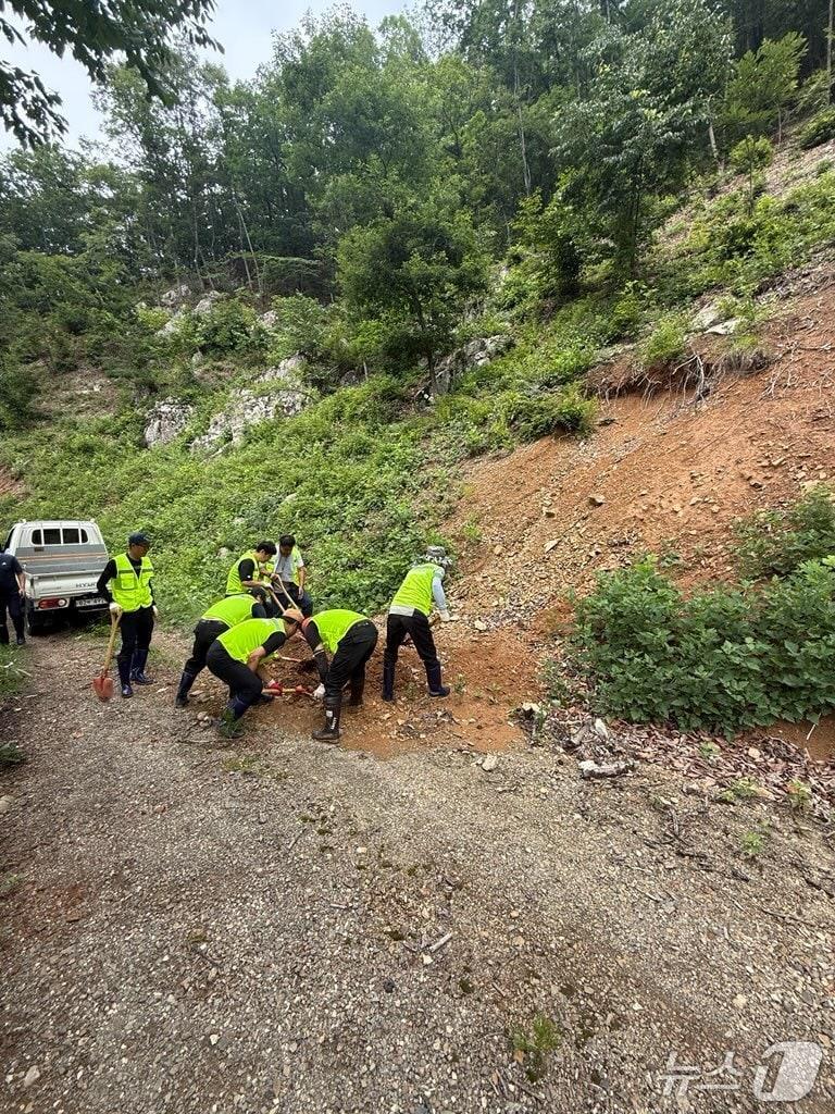 본문 이미지 - 금산군 임도관리단 활동 모습 (금산군 제공. 재판매 및 DB금지)/뉴스1
