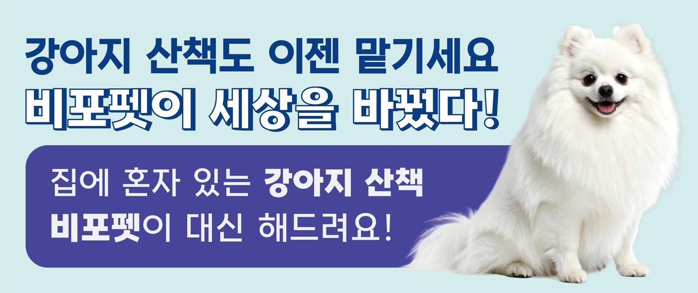 사진=비포펫 제공