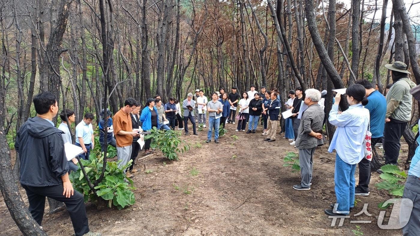 의성군은 27일 지난 3월 발생한 대형산불 피해에 대한 복원 추진 방향과 복구 방법 등을 논의하기 위한 현장토론회를 개최했다.(의성군 제공. 재판매 및 DB 금지)2025.6.27/뉴스1