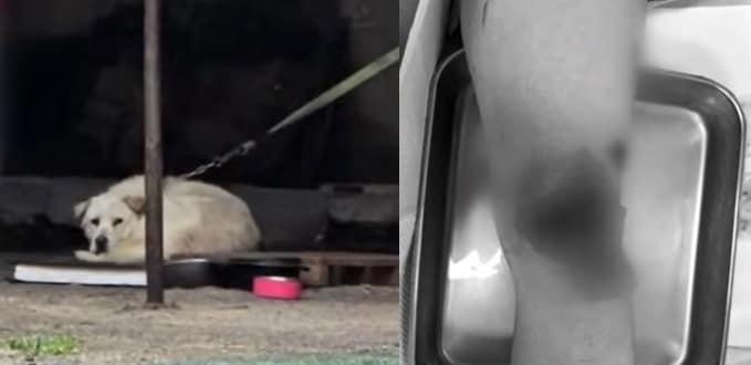 본문 이미지 - (JTBC '사건반장' 갈무리)