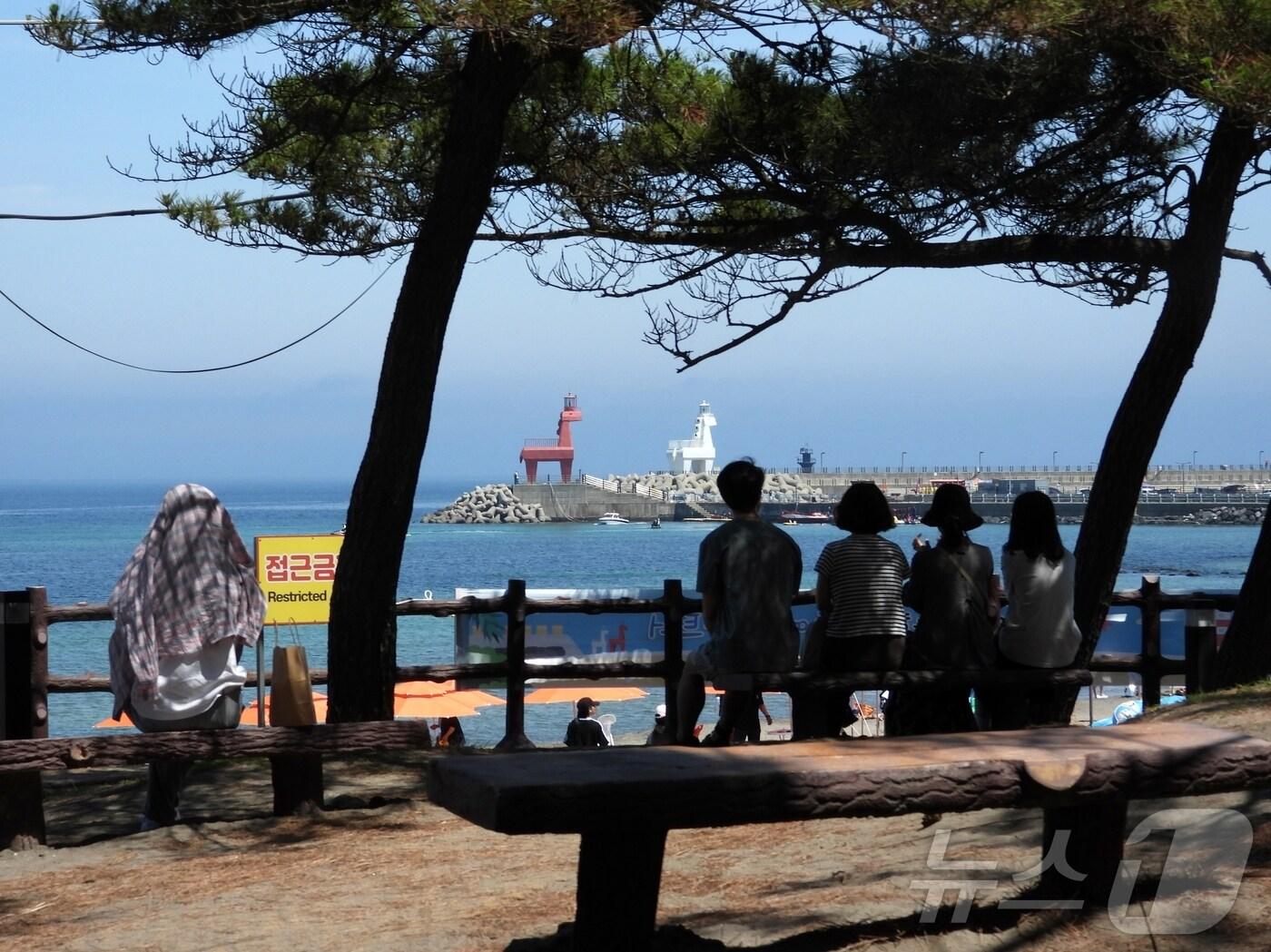 본문 이미지 - 28일 제주시 이호테우해수욕장 인근 소나무숲에서 사람들이 햇볕을 피하고 있다.2025.6.28/뉴스1 ⓒ News1 홍수영 기자