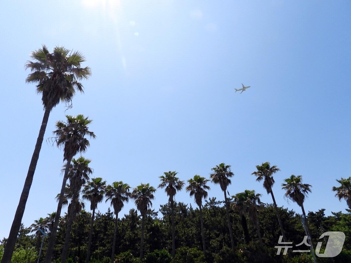 본문 이미지 - 자료사진.