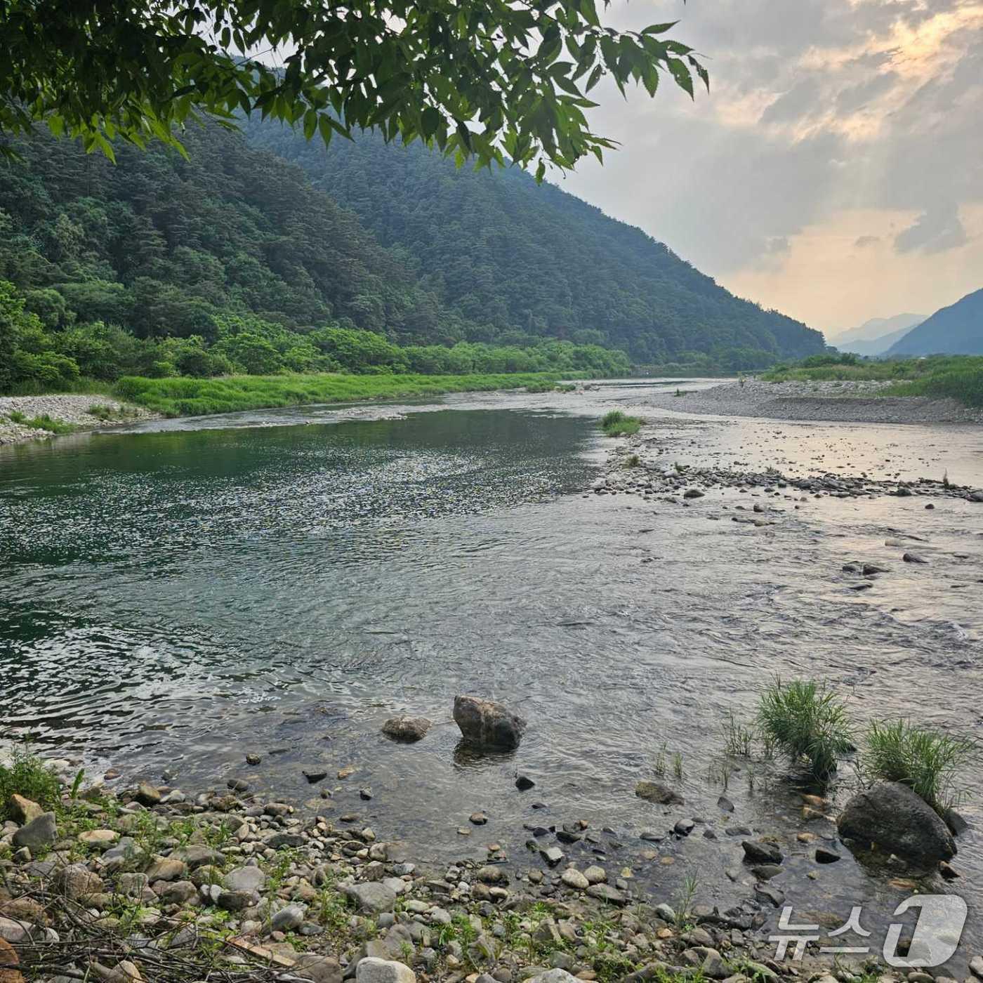 본문 이미지 - 영월군 김삿갓면 내리천.(강원도소방본부 제공. 재판매 및 DB금지)/뉴스1