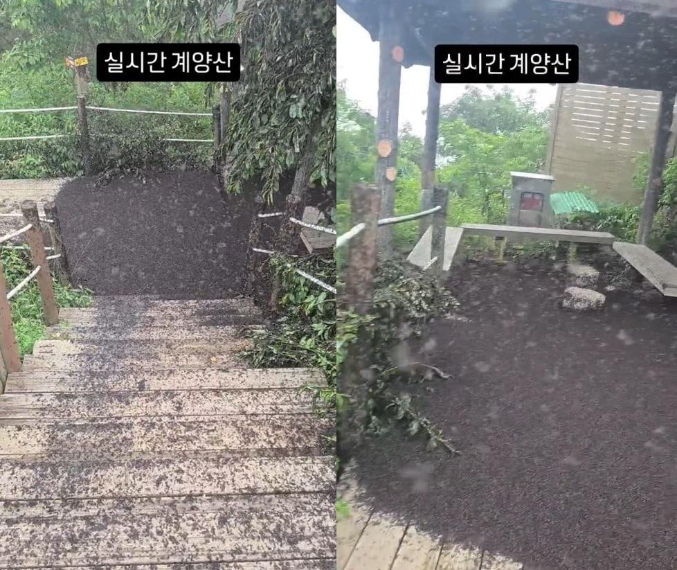 본문 이미지 - &#40;인스타그램 갈무리&#41;