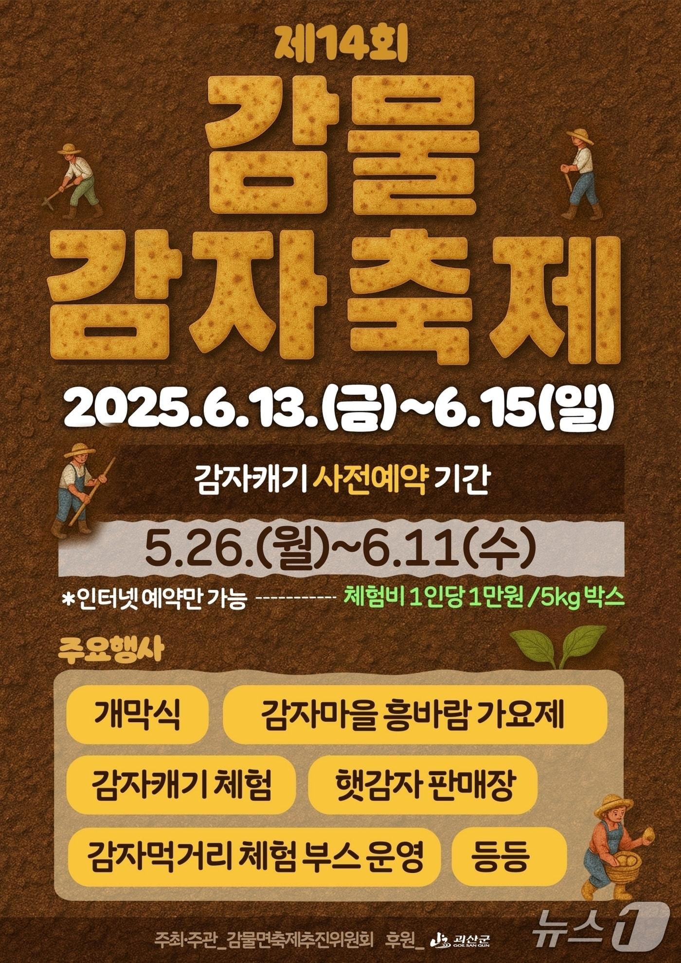 본문 이미지 - 충북 괴산군 감물면은 14회 감물감자축제 때 진행할 '감자캐기 체험행사' 사전접수를 오는 11일까지 접수한다.(괴산군 제공)/뉴스1