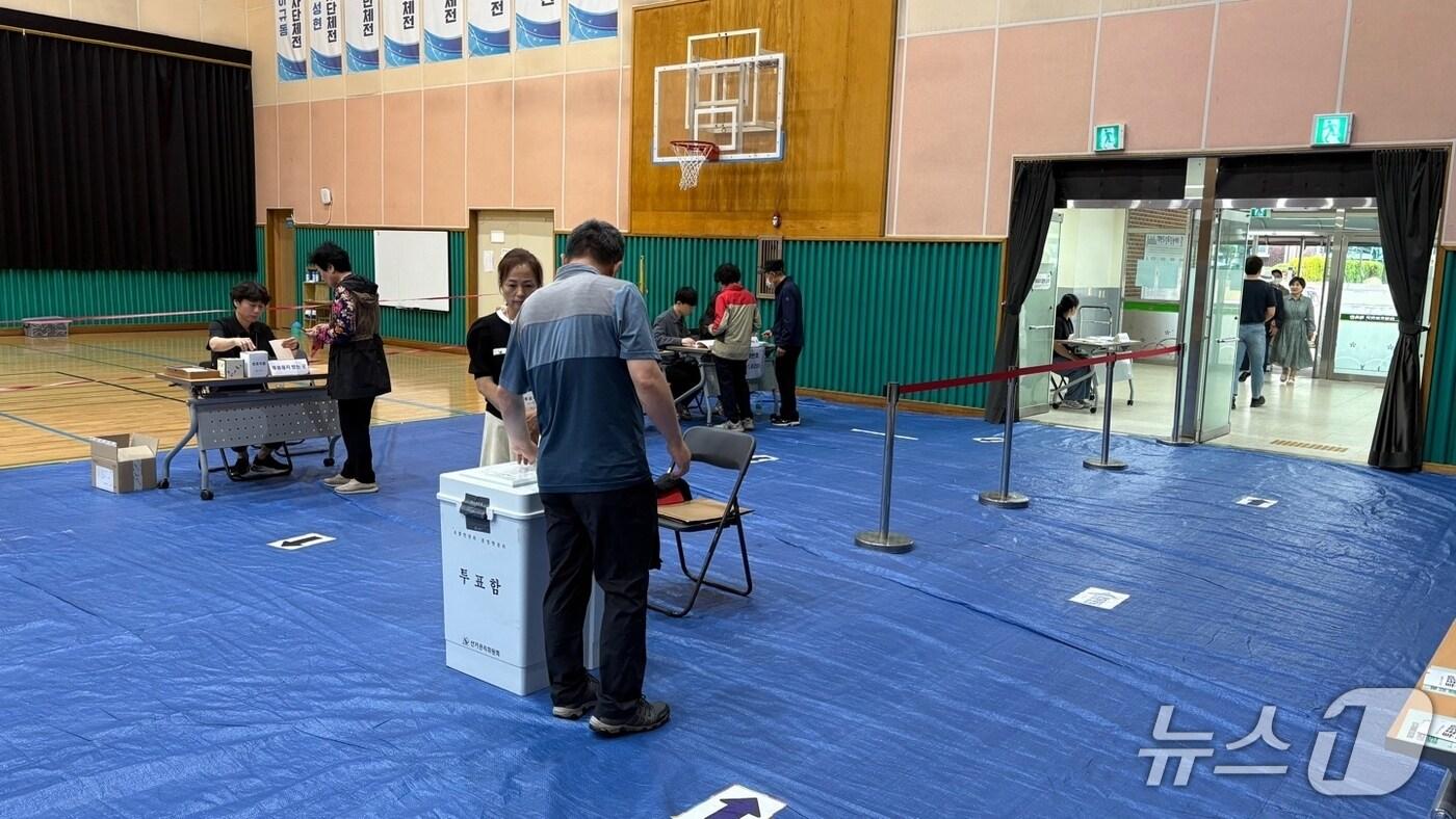 제21대 대통령 선거일인 3일 오전 경남 창원시 성산구 대방초(사파동 제8투표소)에서 유권자들이 투표하고 있다.2025.6.3/뉴스1 강정태 기자