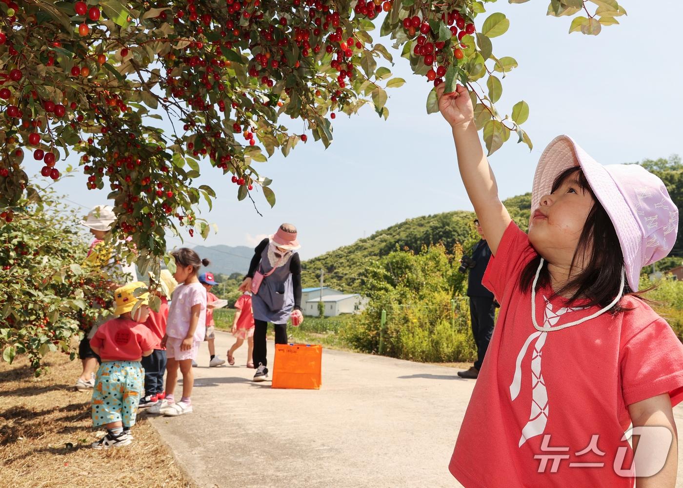 본문 이미지 -  3일 충북 충주시 소태면 주민자치위원회는 오는 9일 하청마을 일원에서 13회 보리수길 걷기 행사를 연다고 밝혔다.(충주시 제공. 재판매 및 DB금지)/뉴스1
