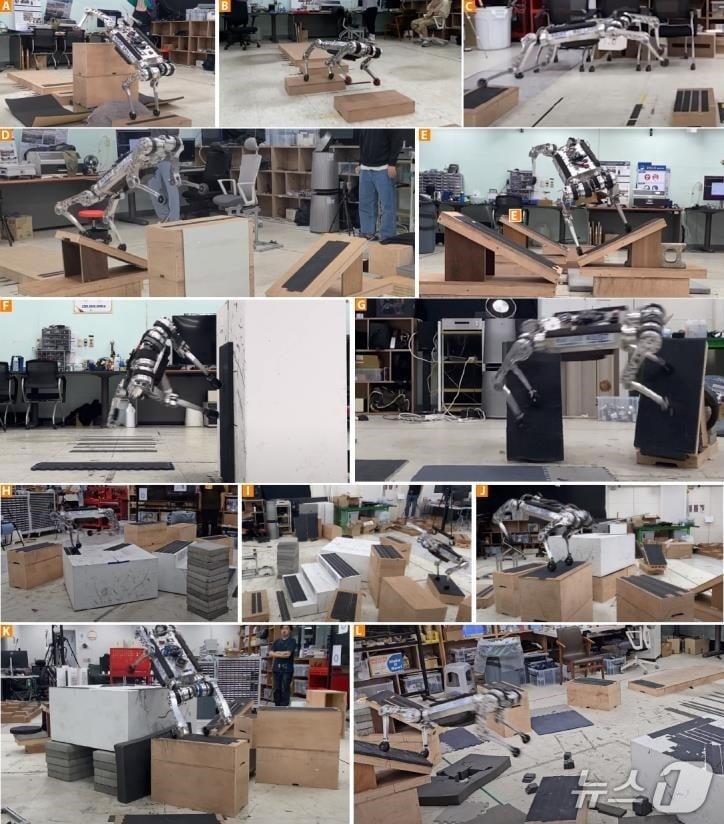 본문 이미지 - KAIST가 개발한 사족보행 로봇 '라이보'의 불연속 지형 고속 네이게이션 주파 실험(KAIST 제공) /뉴스1