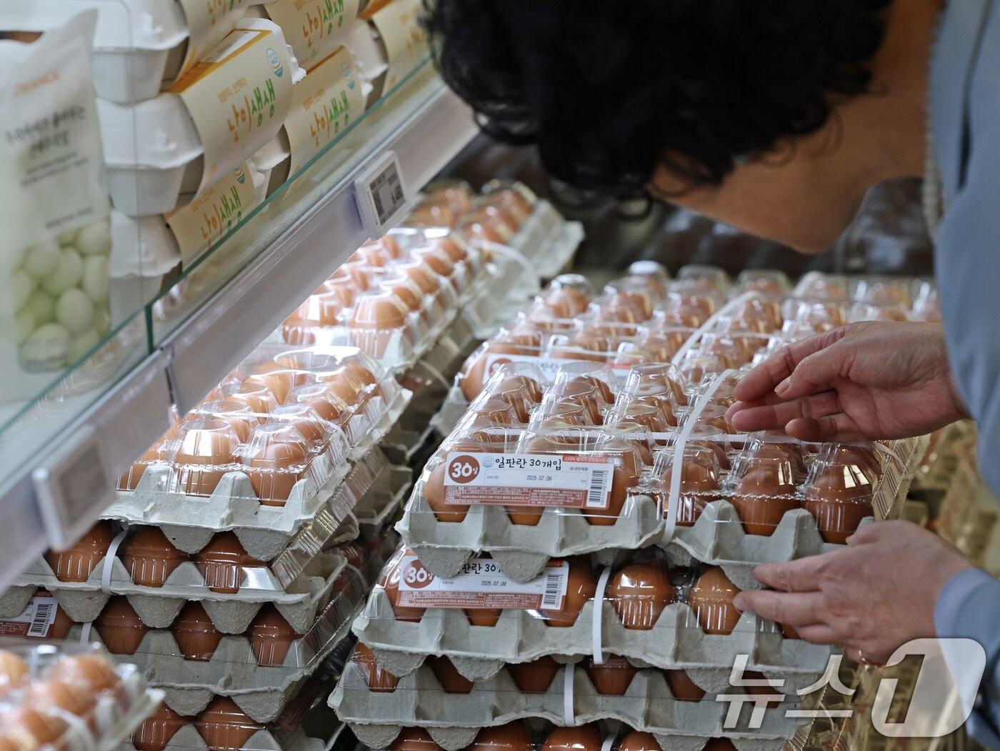 본문 이미지 - 3일 서울시내 한 대형마트에서 고객이 계란을 고르고 있다. 축산물품질평가원 축산유통정보에 따르면 지난달 30일 기준 계란 특란 한 판(30구)의 도매가는 6079원으로 지난해 동월 평균(5239원)보다 16.0%(840원) 상승한 것으로 나타났다. 한 달 전 평균 가격(5685원)과 비교해도 6.9%(394원) 올랐다. 2025.6.3/뉴스1 ⓒ News1 황기선 기자