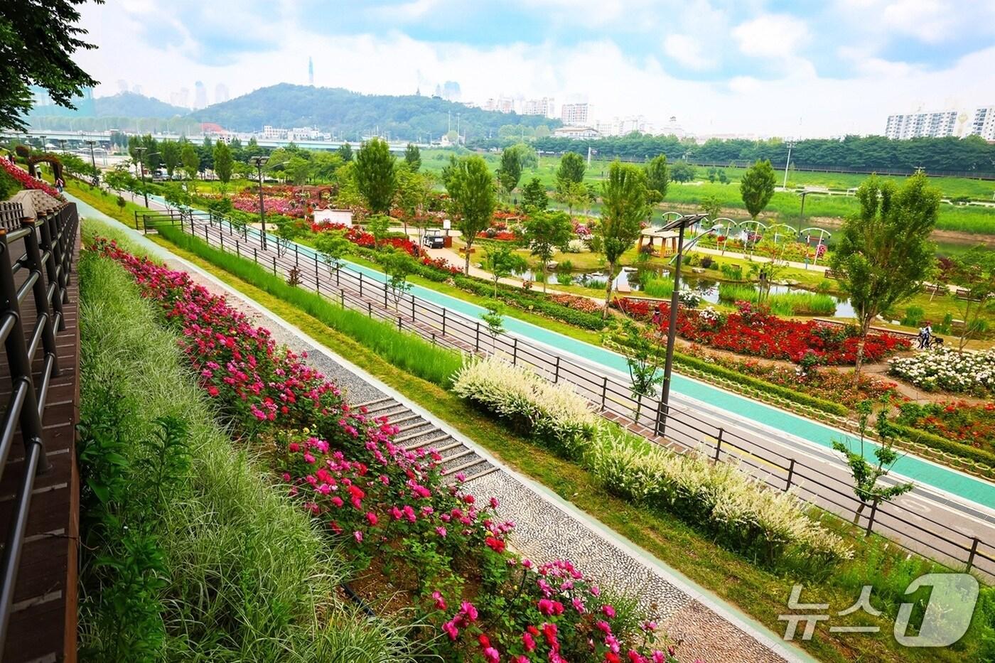  (서울 구로구 제공) 