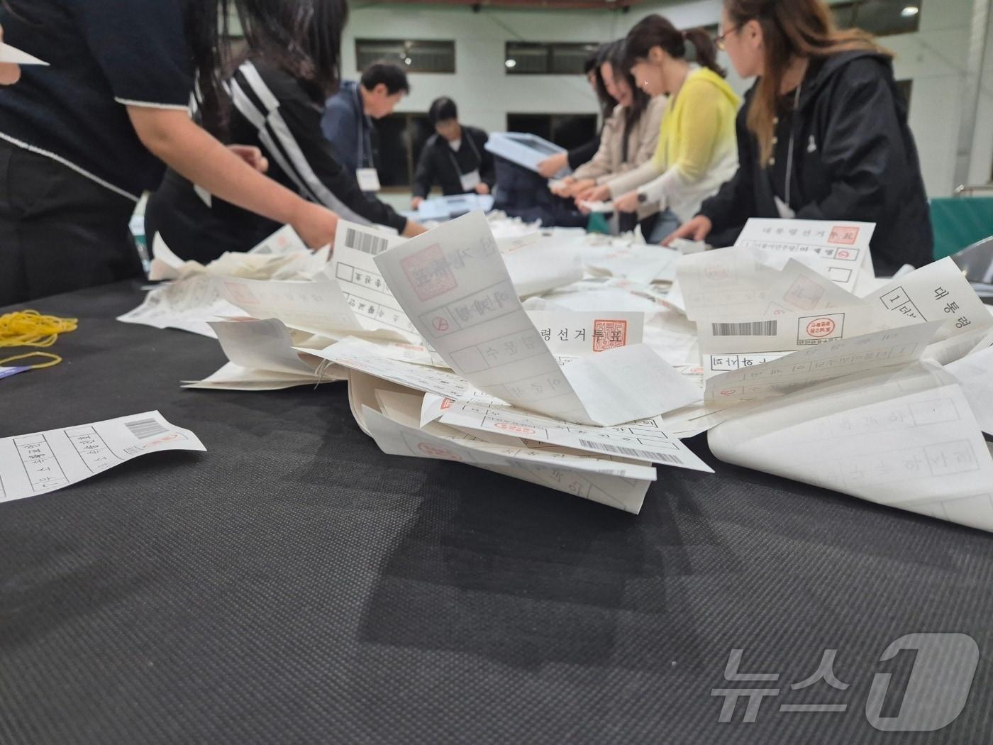 본문 이미지 - 제21대 대통령선거일인 3일 오후 강원 강릉시 인라인스케이트장에 마련된 강릉시 개표소에서 개표사무원들이 투표용지를 분류하고 있다. 2025.6.3/뉴스1 ⓒ News1 윤왕근 기자