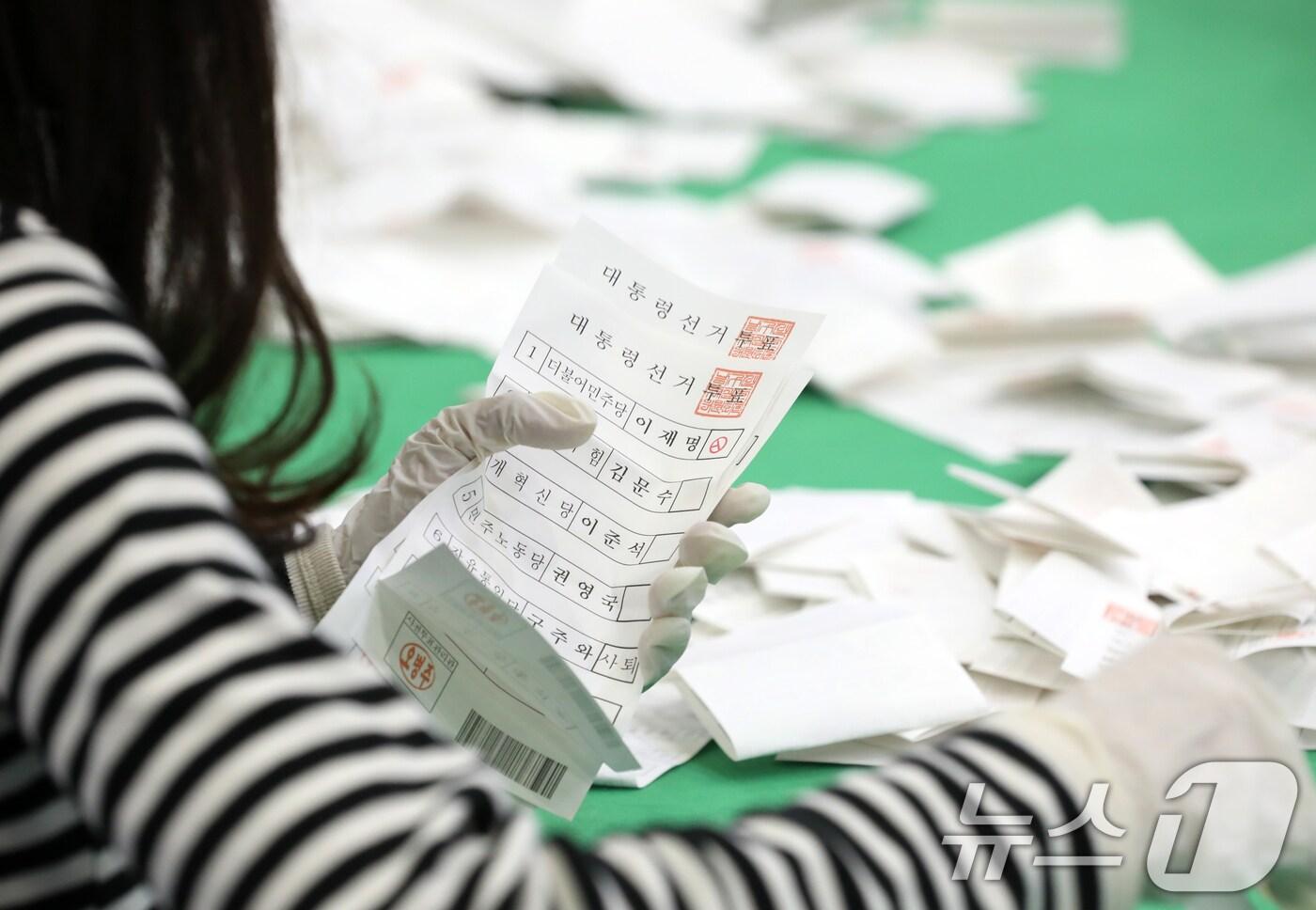 개표사무원들이 투표지 분류 작업을 하고 있다. 2025.6.3/뉴스1 ⓒ News1 윤일지 기자