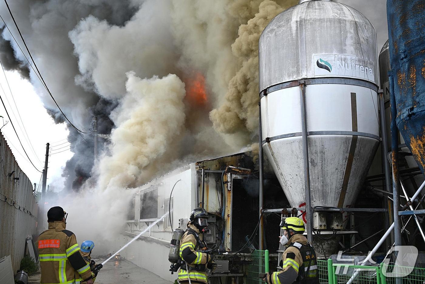 29일 오전 7시 41분쯤 대구 군위군 군위읍의 한 돈사에서 불이 나 소방 당국이 진화하고 있다. (대구소방본부 제공. 재판매 및 DB금지)