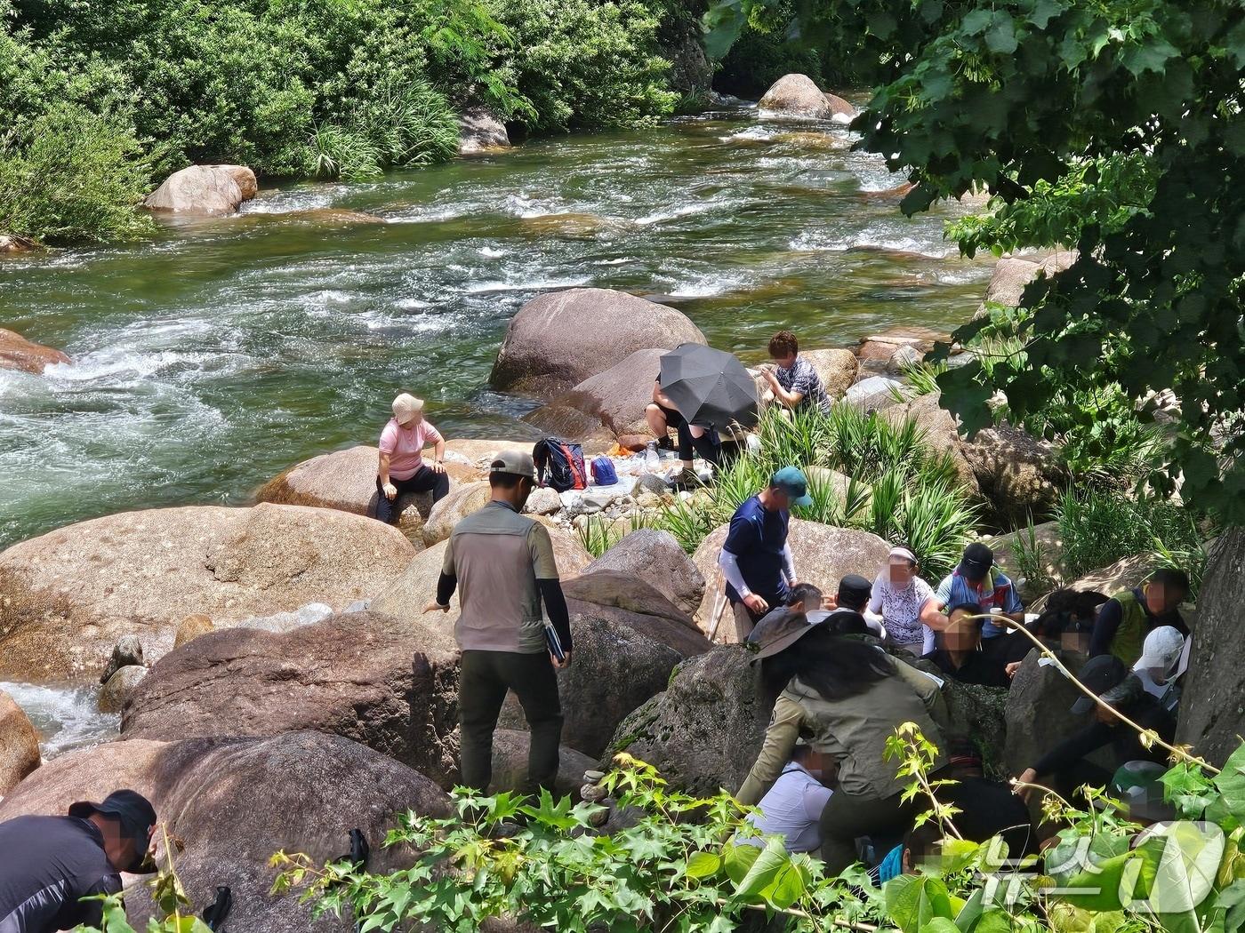 본문 이미지 - 산청군 삼장면 대원사 계곡 단속 현장. 뉴스1 DB