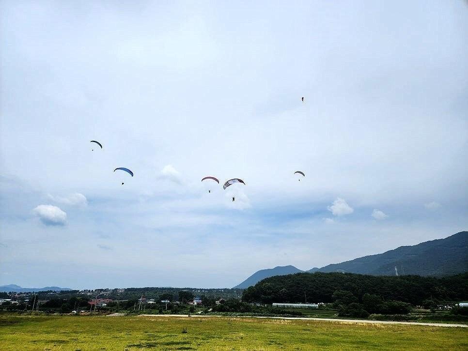 본문 이미지 -  보령 옥마산 아래로 활공 중인 패러글라이딩 선수들 모습.(보령시 제공. 재판매 및 DB금지)/뉴스1