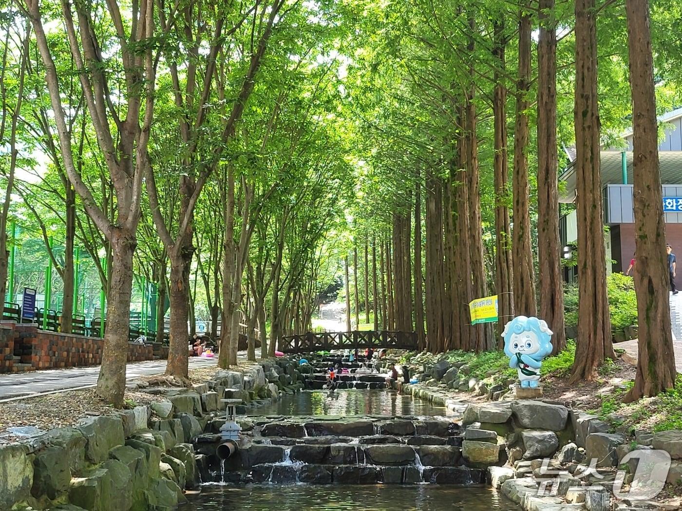 본문 이미지 - 칠갑산자연휴양림의 계곡 모습. (청양군 제공. 재판매 및 DB금지)2025.6.30/뉴스1