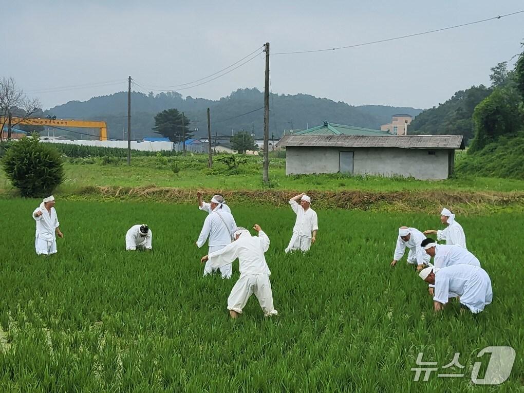 본문 이미지 -  충주 신니면 마수리농요 시연 모습.(충주시 제공. 재판매 및 DB금지)/뉴스1