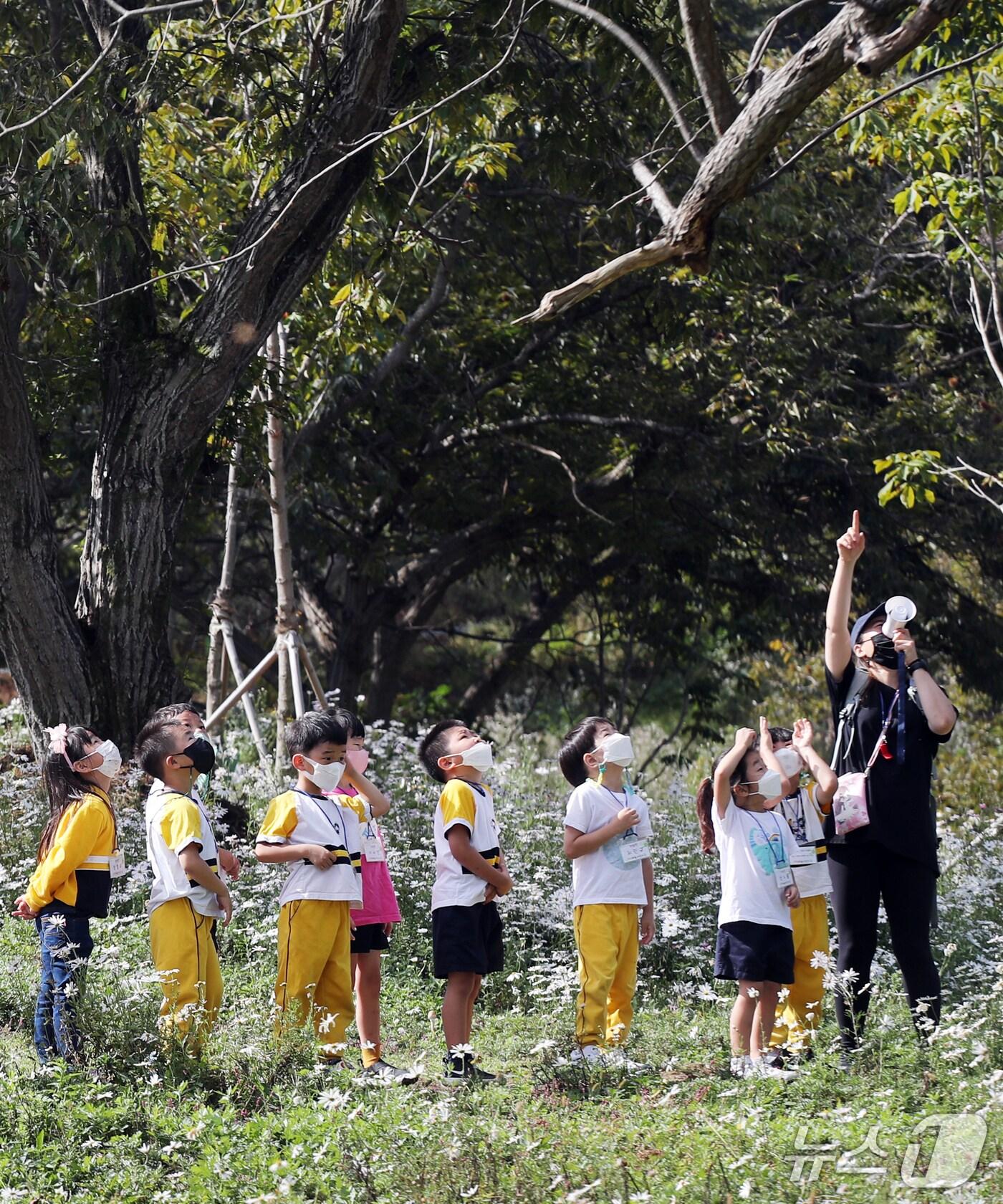 본문 이미지 - 노루벌 적십자생태원 교육 모습. (대전서구청 제공. 재판매 및 DB금지)2025.6.30/뉴스1