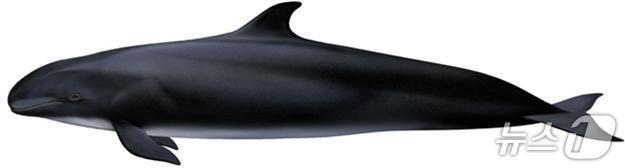 본문 이미지 - (해양수산부 제공)