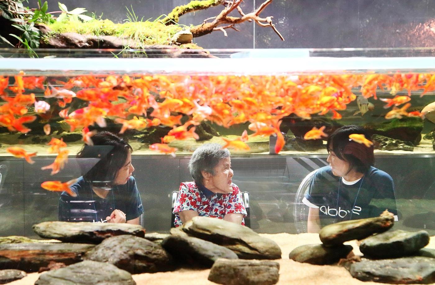 (한국애브비 제공)