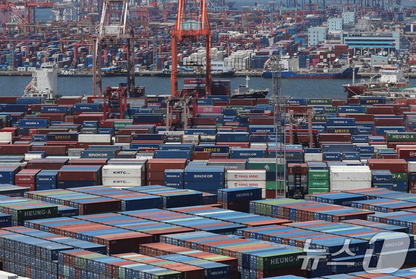부산항 신선대 부두, 감만부두 야적장. 2025.6.30/뉴스1 ⓒ News1 윤일지 기자