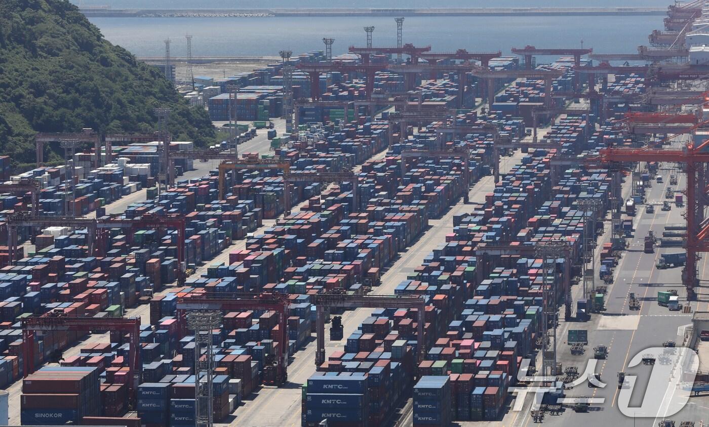 부산항 신선대 부두 야적장. <자료사진>  2025.6.30/뉴스1 ⓒ News1 윤일지 기자