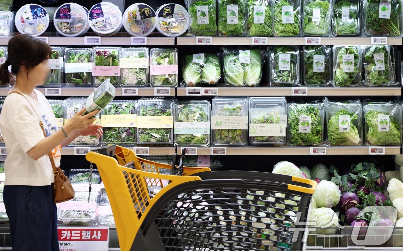 고물가가 이어지는 가운데  서울의 한 대형마트에서 고객들이 채소를 구매하고 있다. 2025.6.30/뉴스1 ⓒ News1 오대일 기자