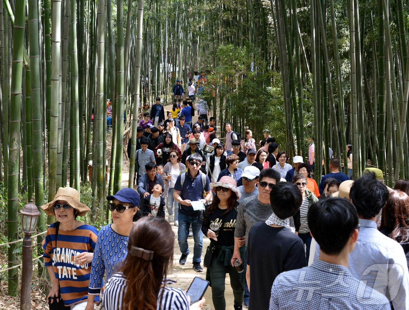 본문 이미지 - 죽녹원 인파.(담양군 제공. 재배포 및 DB 금지)