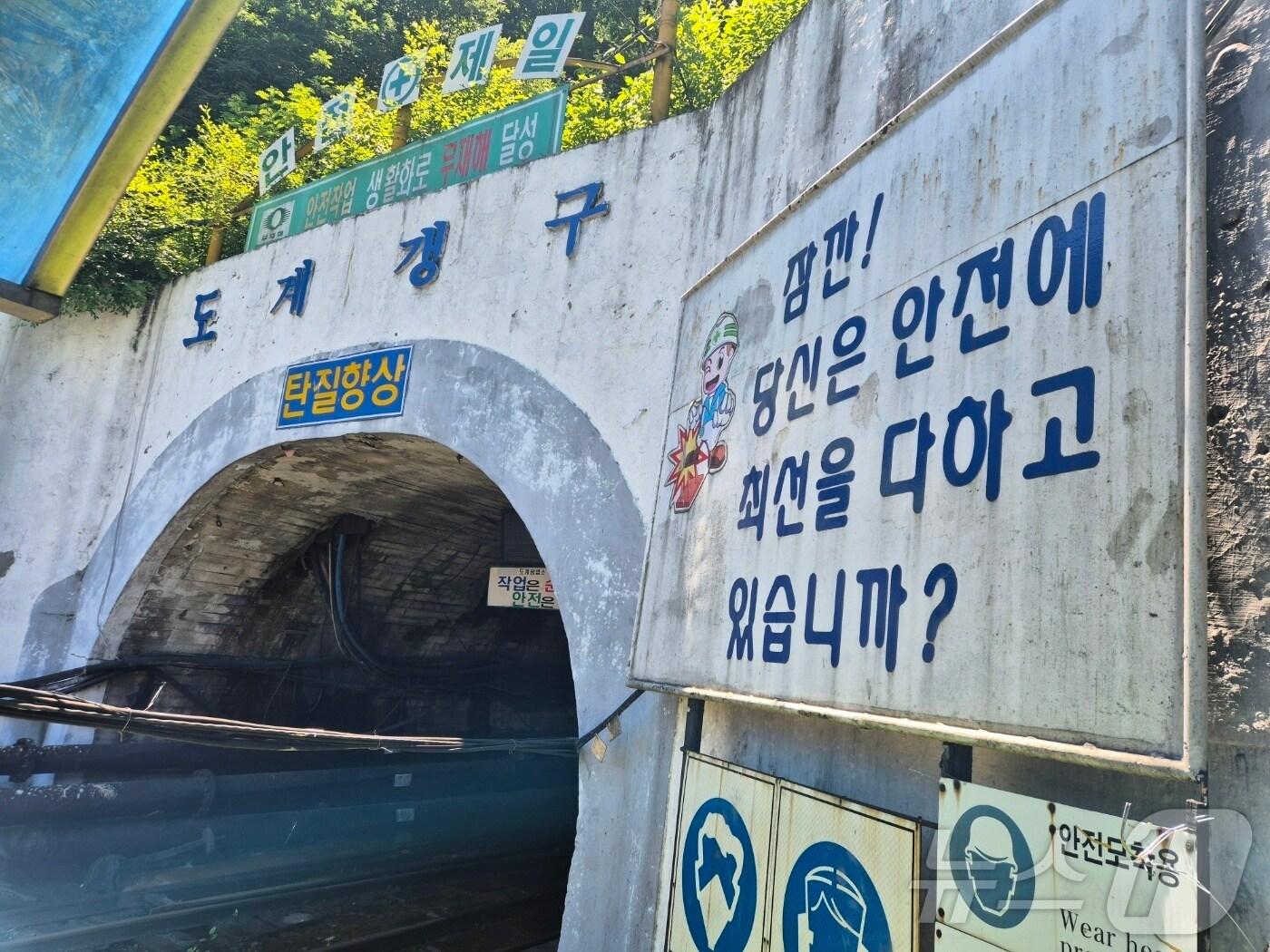 본문 이미지 - 국내 마지막 공영탄광인 대한석탄공사 삼척 도계광업소 전경. 2025.6.30/뉴스1 ⓒ News1 윤왕근 기자