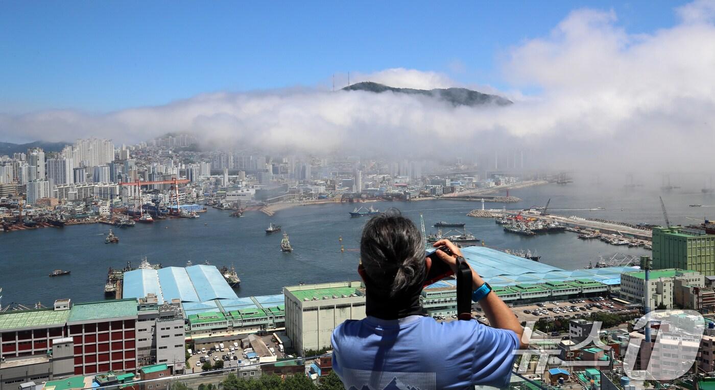 부산에 올해 첫 폭염경보가 발효된 30일 부산 영도구 봉래산 일대에 짙은 해무(바다 안개)가 뒤덮여 이색적인 풍경을 연출하고 있다. 2025.6.30/뉴스1 ⓒ News1 윤일지 기자