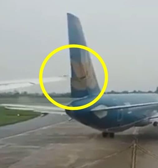 본문 이미지 - &#40;VN익스프레스 갈무리&#41; /뉴스1