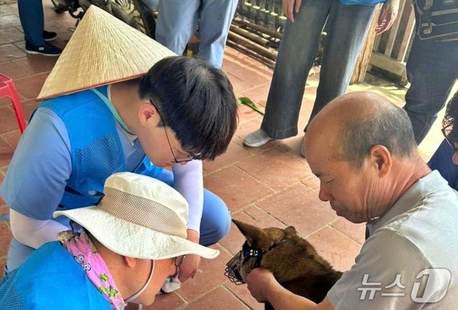 본문 이미지 - 국경없는 수의사회는 베트남에서 봉사활동을 진행했다&#40;수의사회 제공&#41;. ⓒ 뉴스1