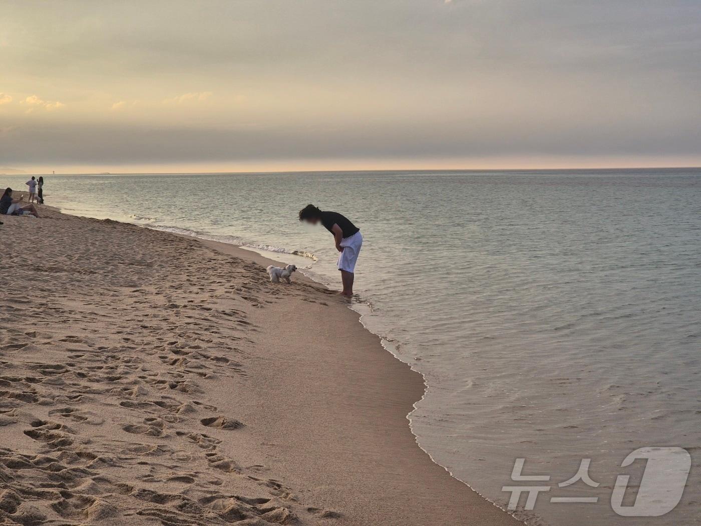 본문 이미지 - 강릉커피거리가 있는 안목해변에서 시민들이 더위를 식히고 있다. 2025.6.30/뉴스1 ⓒ News1 윤왕근 기자