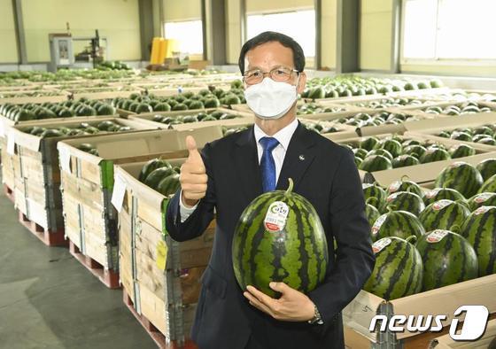 본문 이미지 -  4일 충북 음성군은 지역 대표 농산물 '다올찬 수박'을 본격적으로 출하한다고 밝혔다.(자료사진)/뉴스1