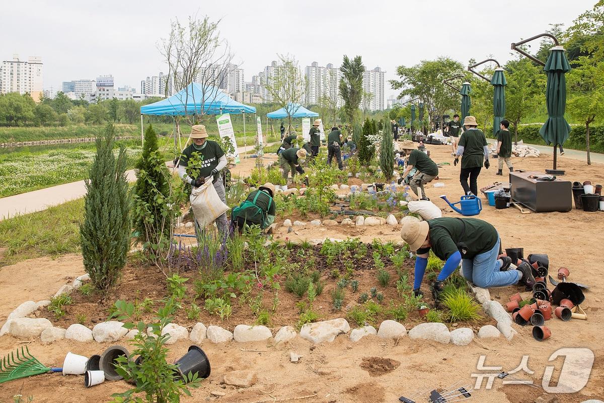 본문 이미지 - '‘Y가드닝크루'가 안양천 힐링가든 일대에 미니정원을 조성하고 있는 모습.(양천구청 제공)