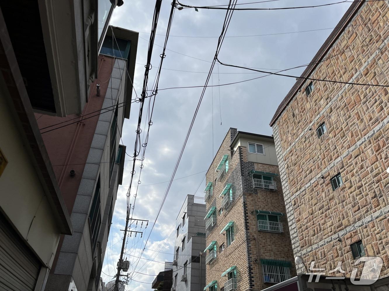 본문 이미지 - 공중케이블 정비 전 모습.(금천구청 제공)