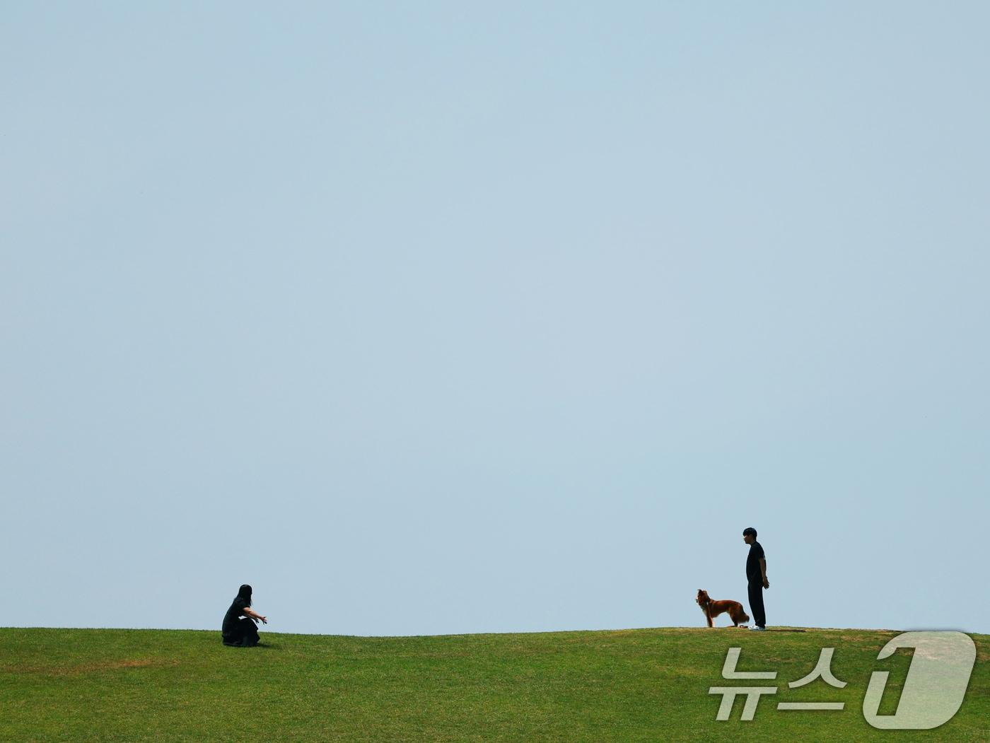 본문 이미지 - 환경의 날이자 절기상 망종(芒種)인 지난 5일 오후 서울 송파구 올림픽공원'에서 시민이 반려견과 함께 산책을 하고 있다. 2025.6.5/뉴스1 ⓒ News1 황기선 기자