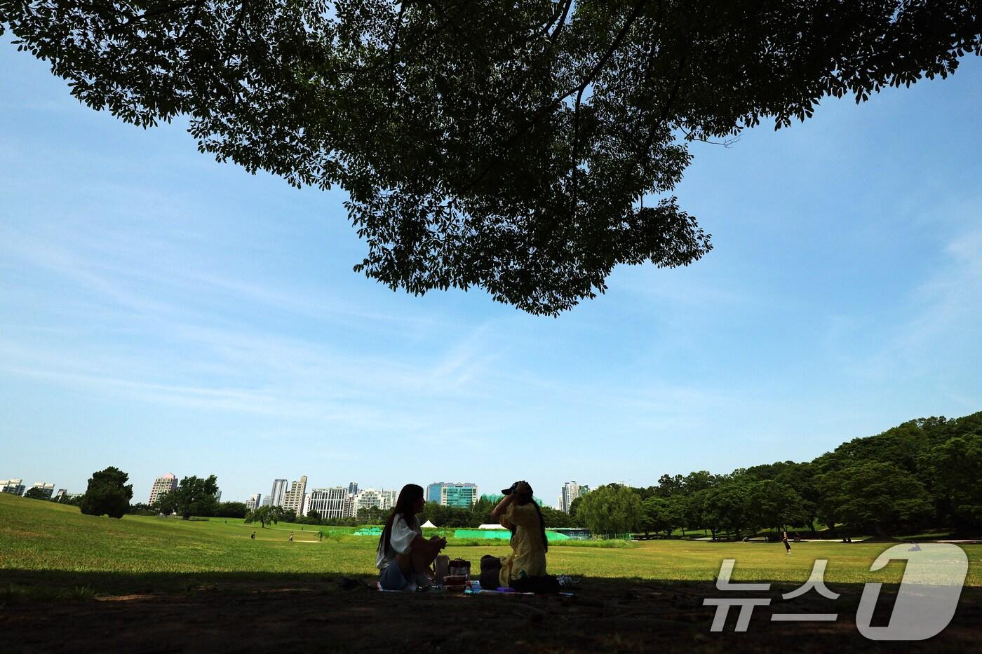 환경의 날이자 절기상 망종(芒種)인 5일 오후 서울 송파구 올림픽공원'에서 시민이 피크닉을 즐기고 있다. 2025.6.5/뉴스1 ⓒ News1 황기선 기자